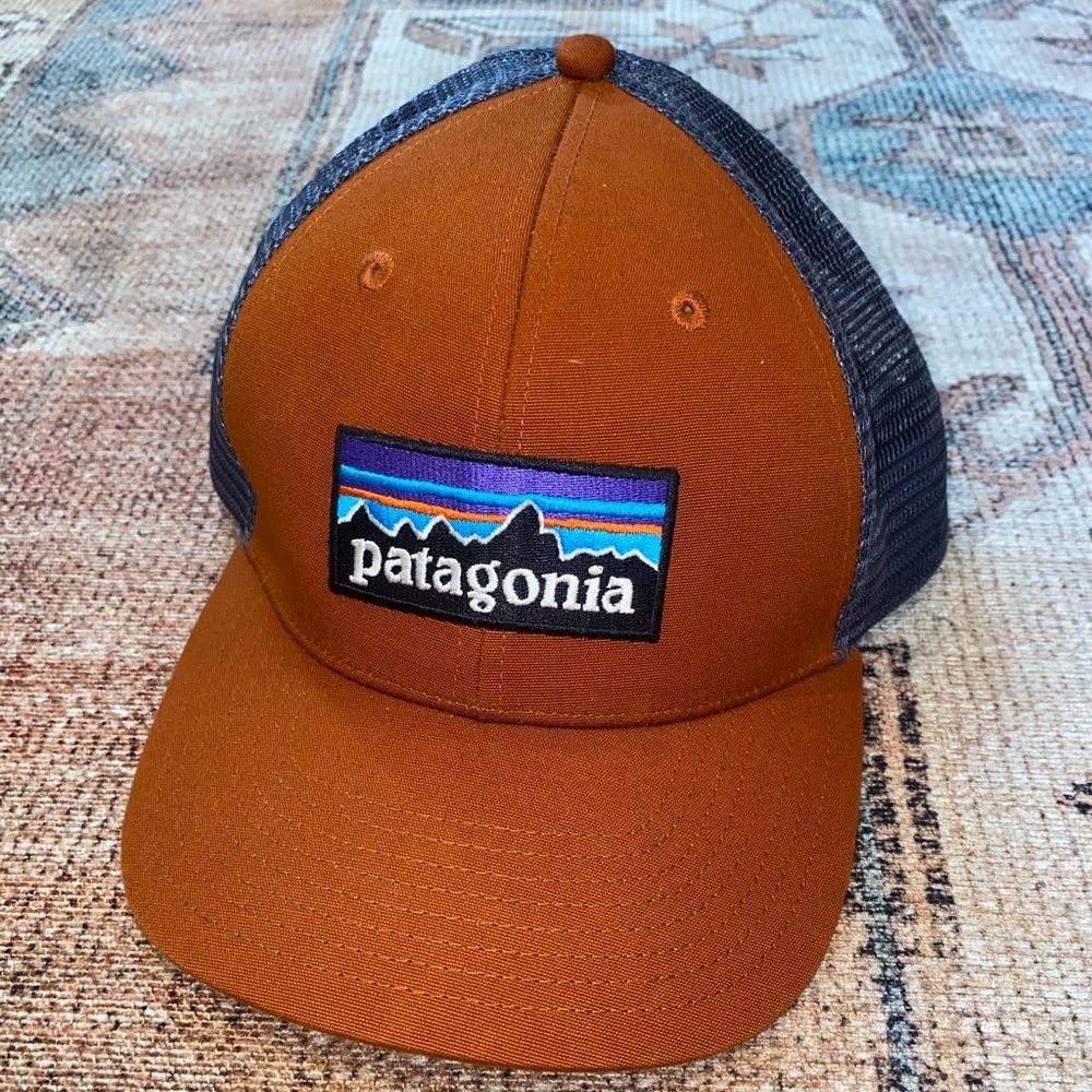 Patagonia Snapback Hat